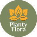 Planty Flora: Интернет-магазин